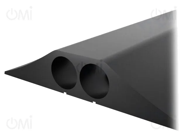 CP010002