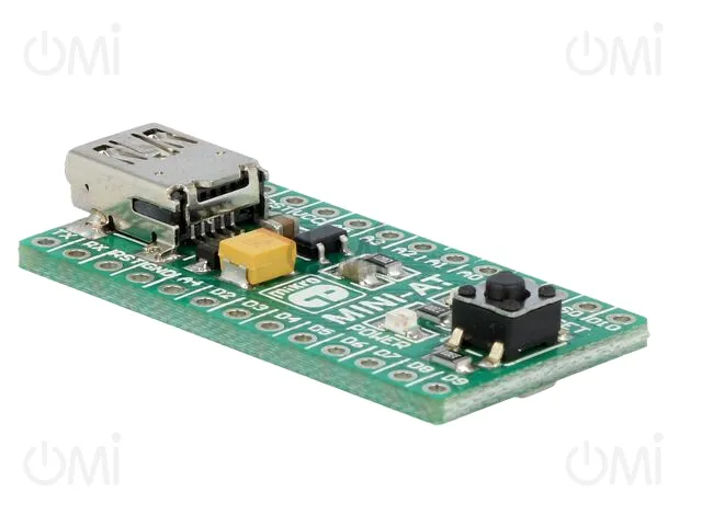 MINI-AT BOARD - 3.3V