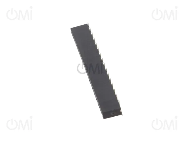 DS1065-02-1*32S8BS1