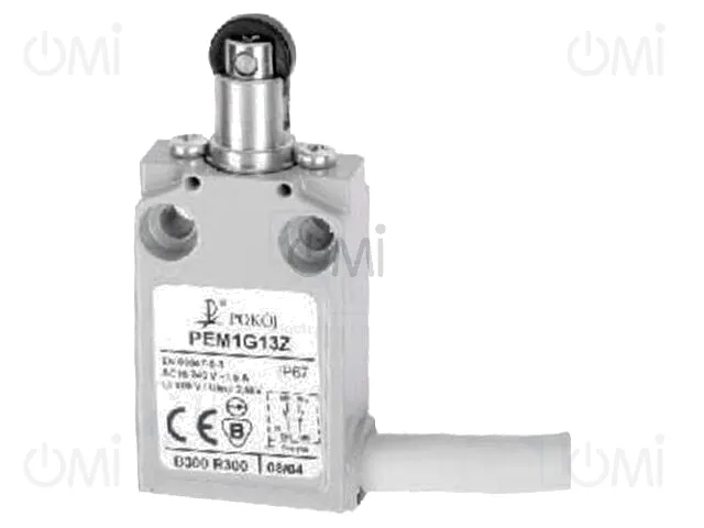 PEM1G13Z