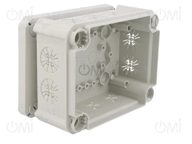 T 100 2MSD WS