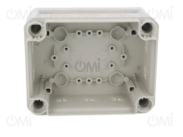 T 100 2MSD WS