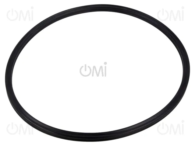 10-177.17X006.99  X-RING  NBR