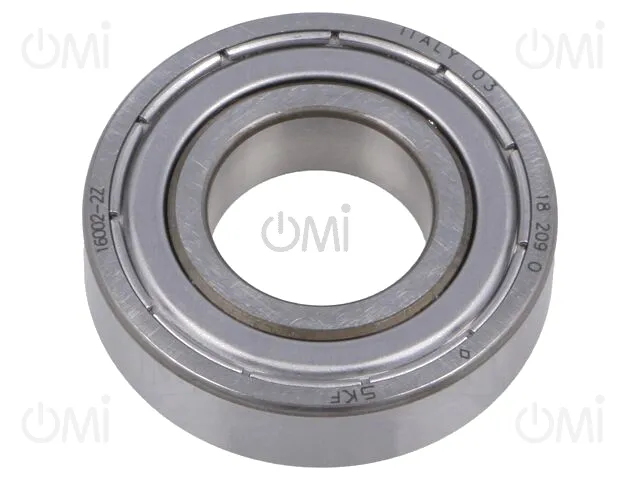 16002-2Z SKF
