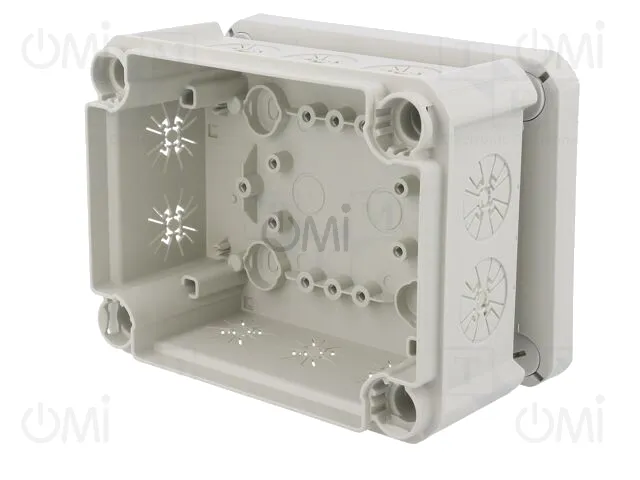 T 100 2MSD WS