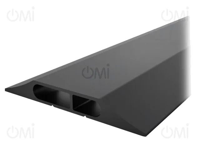 CP010004