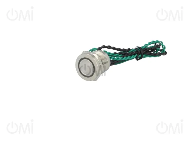 PS193P10YSS1G12T